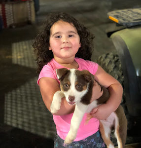 Meet your Posher, Sandra